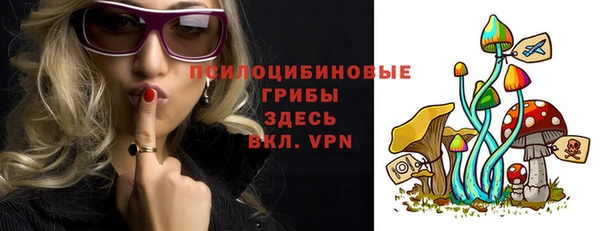 альфа пвп Бородино