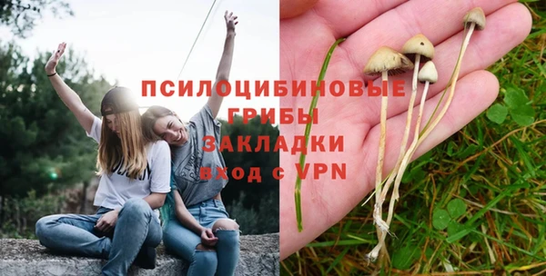 спиды Бугульма