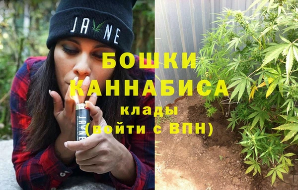 альфа пвп Бородино