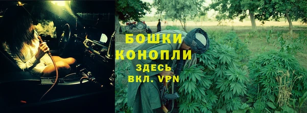 альфа пвп Бородино