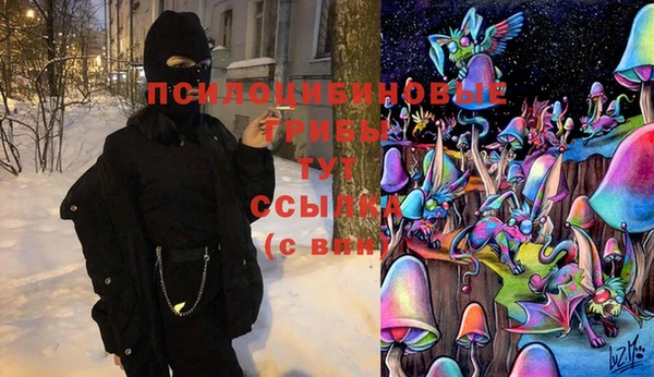 спиды Бугульма